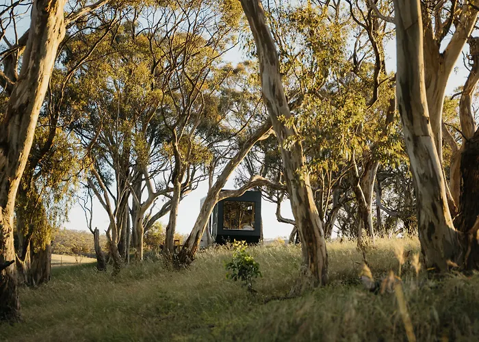 Cabn Clare Valley