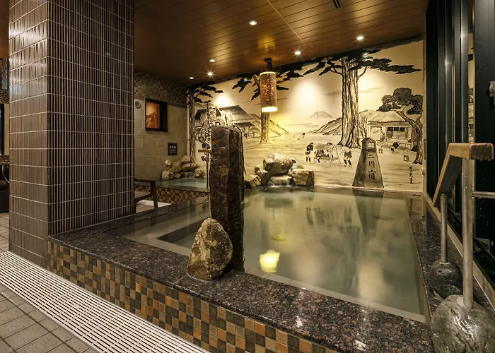 Dormy Inn Express Toyohashi