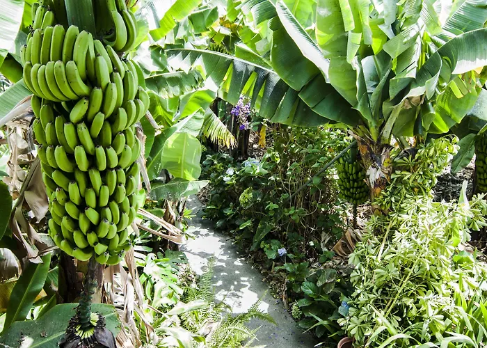 Finca Arminda