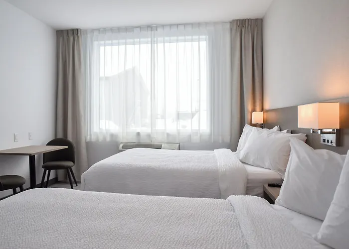 Repotel Levis