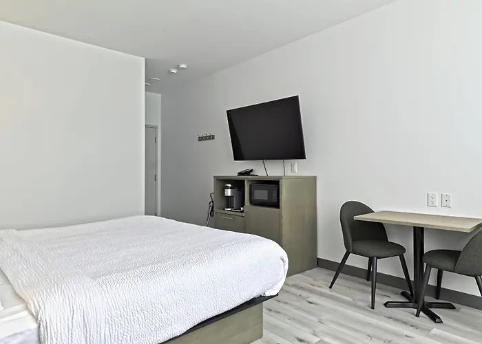 Repotel Levis