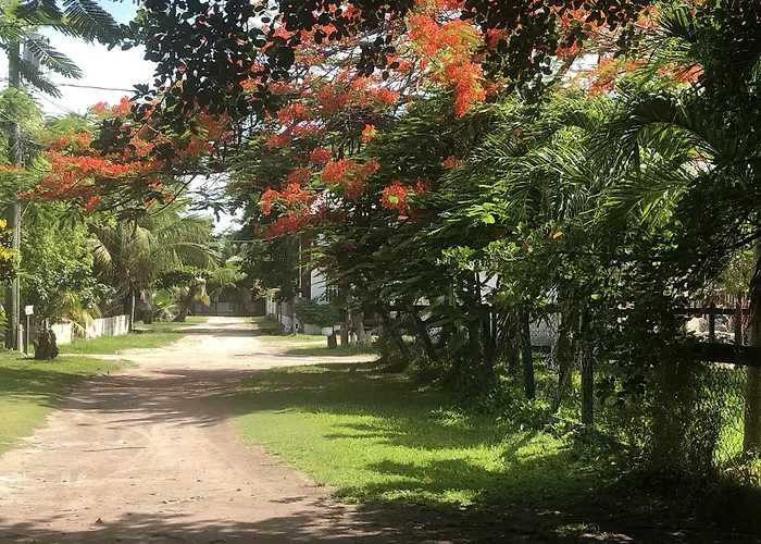Belize Budget Suites