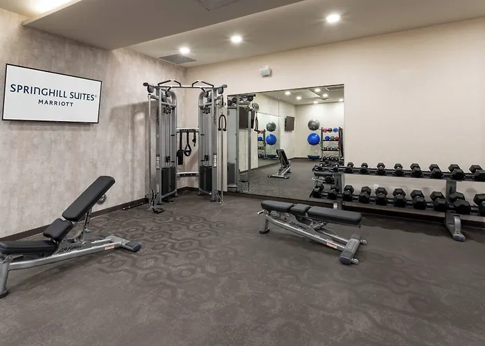 Springhill Suites Minneapolis Maple Grove/Arbor Lakes
