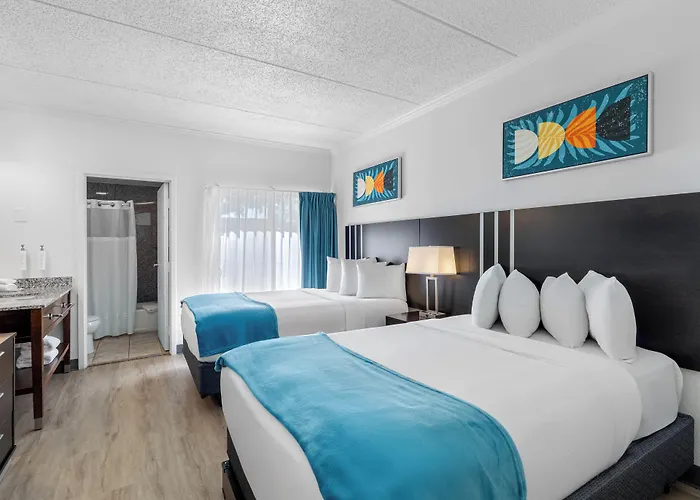 Oasis Bay Suites, Tampa, Busch Gardens, Usf