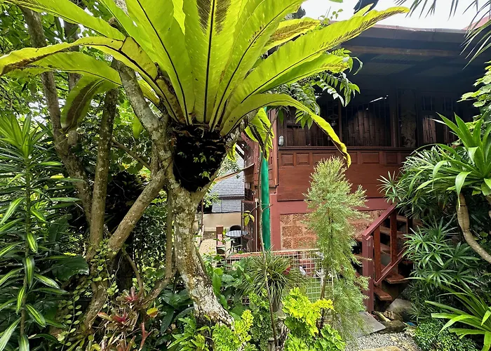 Coco Mountain View Guest House Hotel