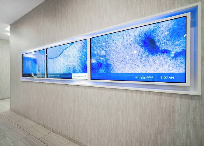 Springhill Suites By Marriott Phoenix Goodyear