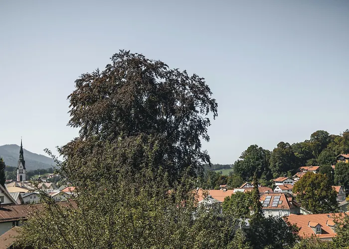 Suiten Zantl