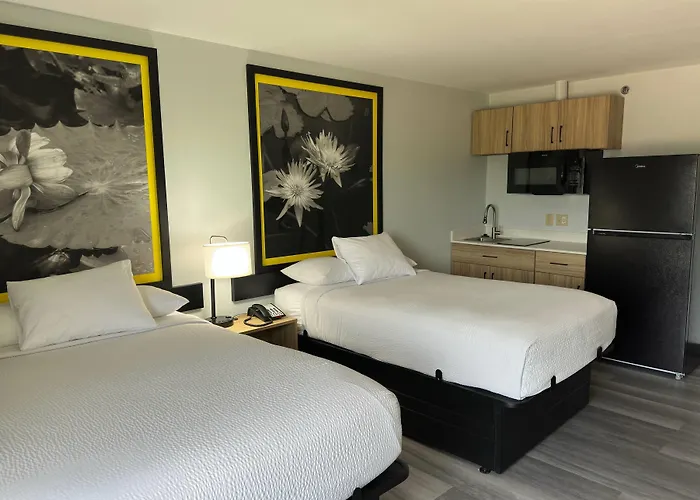 Super 8 By Wyndham Alexandria La