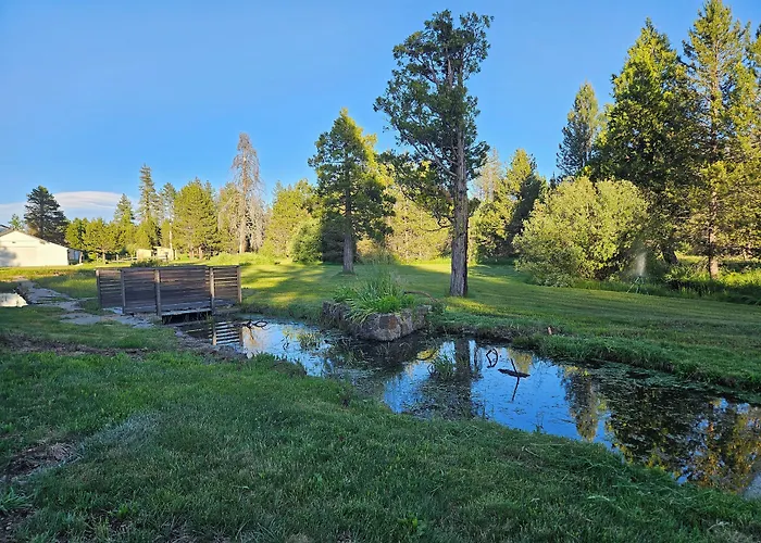 The Black Forest Lodge