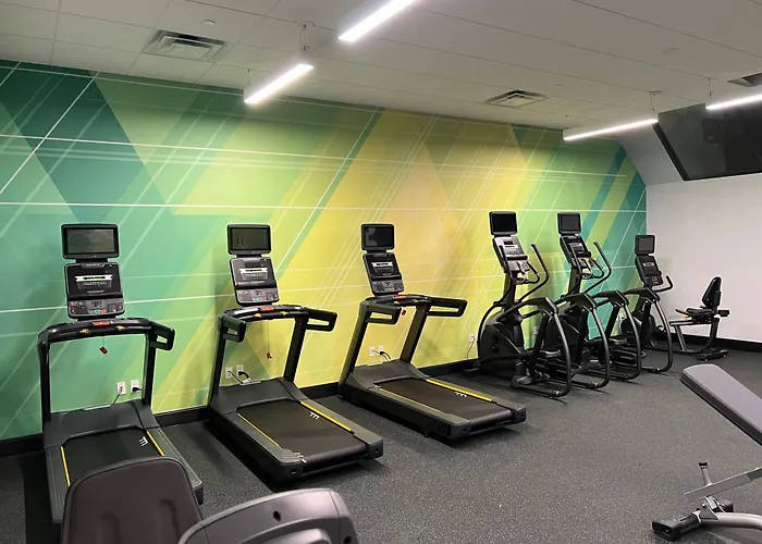 Holiday Inn Orlando International Dr-Icon By Ihg