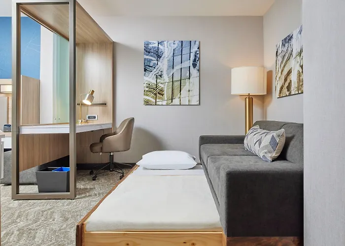 Springhill Suites By Marriott Chicago Chinatown