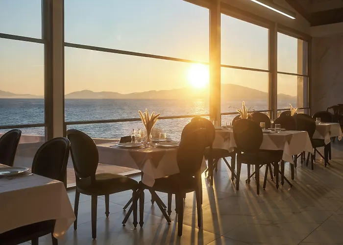Mythical Coast Wellness Retreat