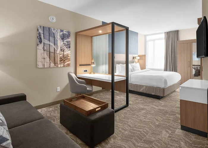 Springhill Suites By Marriott Jackson