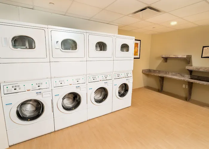 Staybridge Suites - Newark - Fremont By Ihg