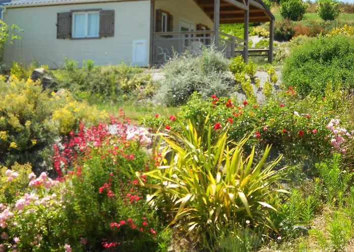 Insolites Du Camping De Trezulien