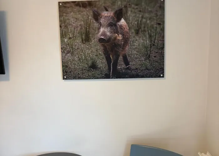 Den Gode Sovn