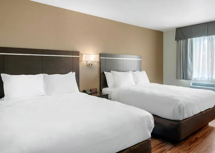 Econo Lodge Inn & Suites Springfield Main Street