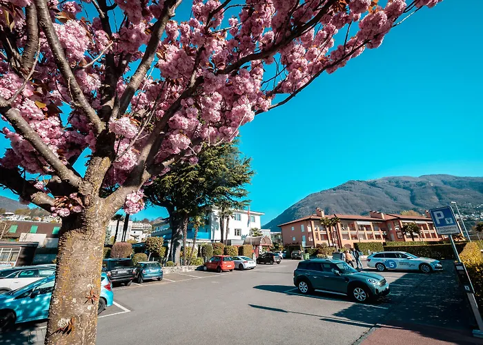 Ascona Lodge, Pool & Garden Retreat