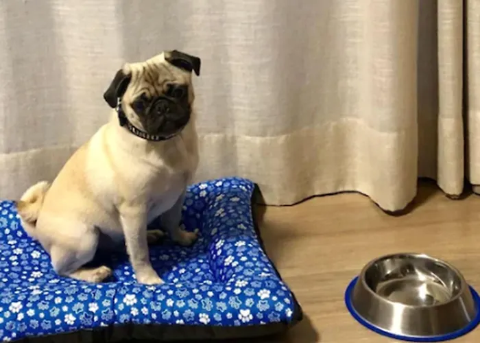 Hotel Pousada Ourinhos