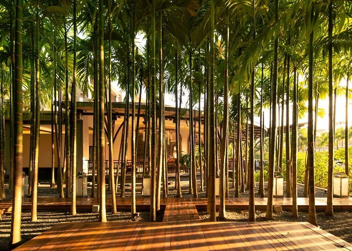 Areca Resort And Spa