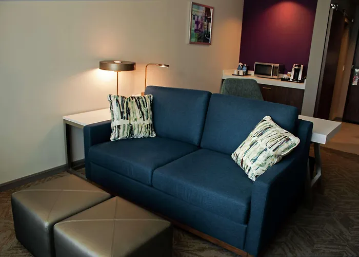 Hilton Garden Inn Dallas At Hurst Conference Center