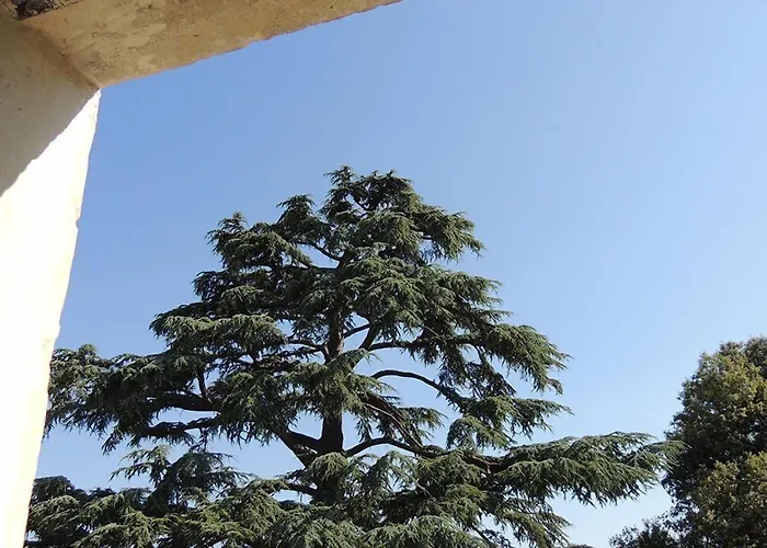 Le Domaine De Mestre, The Originals Relais