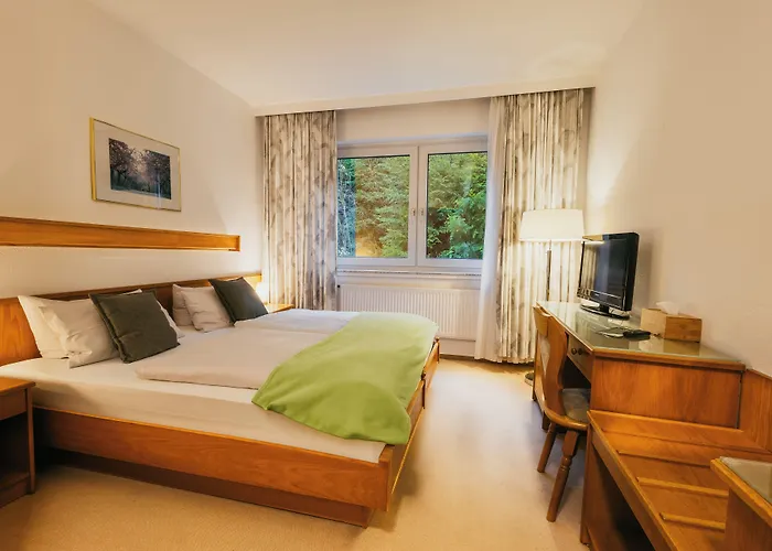 Waldhotel Ehrental