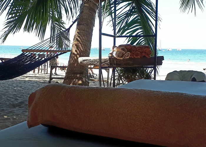 Hotel La Palapa