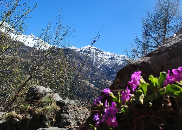 Hotell Millefiori- Alpine Event Lodge