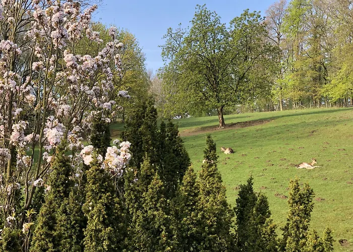 Waldhotel Felsenkeller am Teutoburger Wald