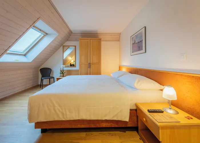 Hotel Du Cheval Blanc - City Center