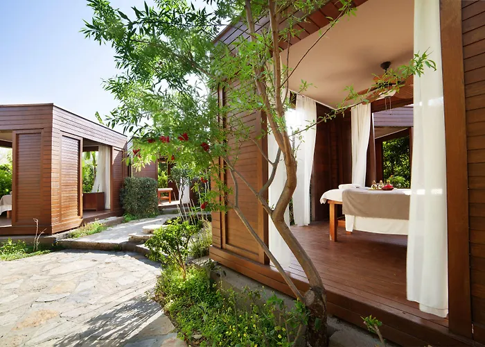 The LifeCo Bodrum Well-Being Detox Center&Vegan Hotel