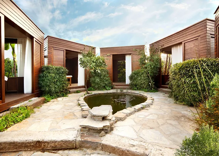 The LifeCo Bodrum Well-Being Detox Center&Vegan Hotel