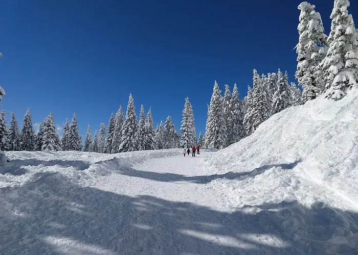 Callahan'S Mountain Lodge