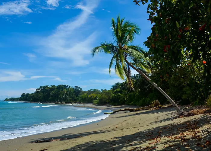 Blue Osa Yoga Retreat And Spa