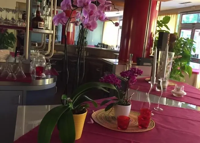Hotel Garden