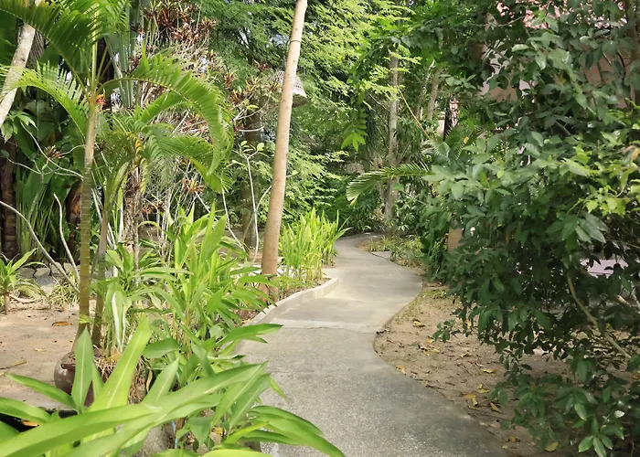 Bird Of Paradise Bungalows