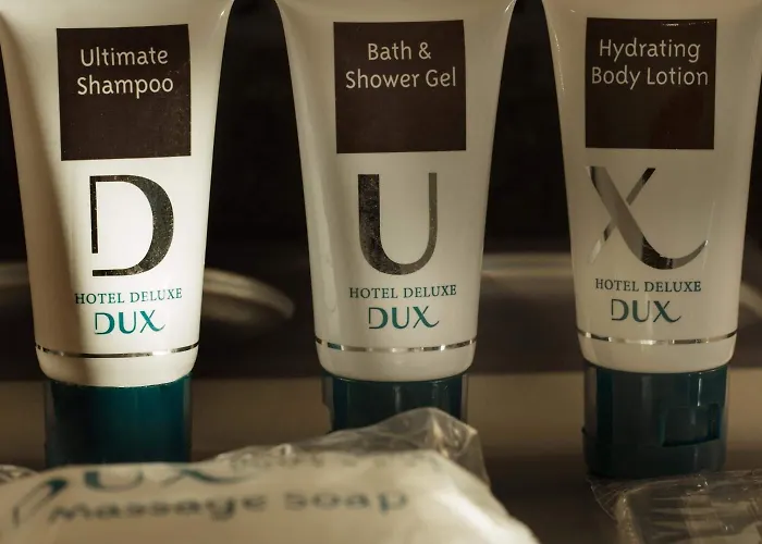 Hotel Dux