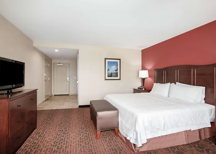 Hampton Inn And Suites Denver/South-Ridgegate