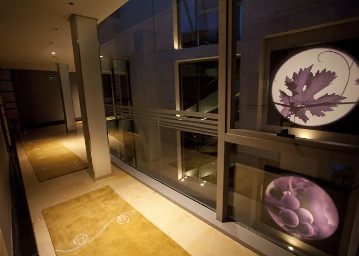 Nexus Valladolid Suites & Hotel