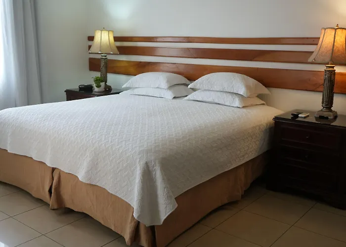 Hotel Casa Del Arbol