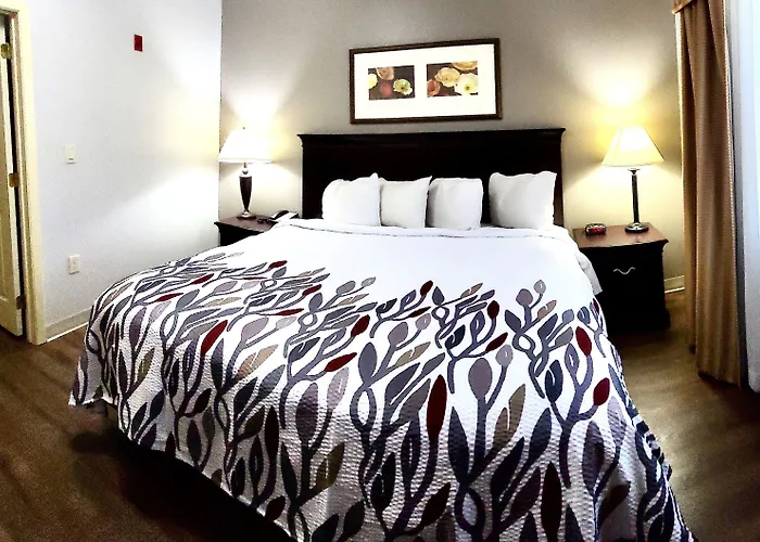 Red Roof Inn & Suites Midland