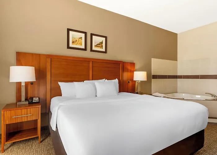 Comfort Inn & Suites Porter Near Indiana Dunes