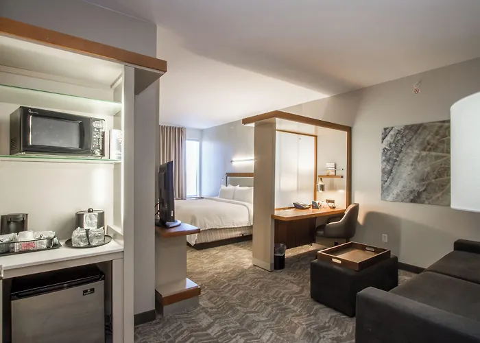 Springhill Suites By Marriott San Angelo