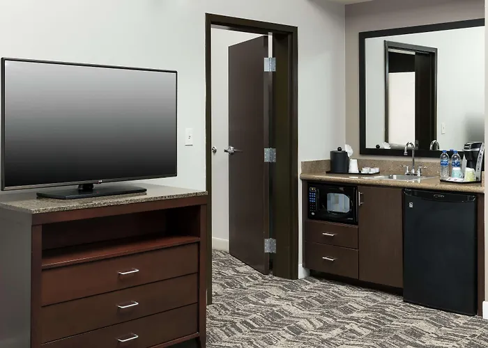 Hilton Garden Inn DFW North Grapevine