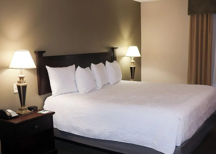 Wingate By Wyndham Peoria - Complimentary Area Shuttle