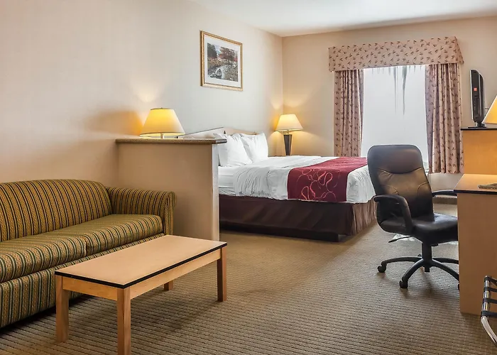 Comfort Inn & Suites Airport Convention Center