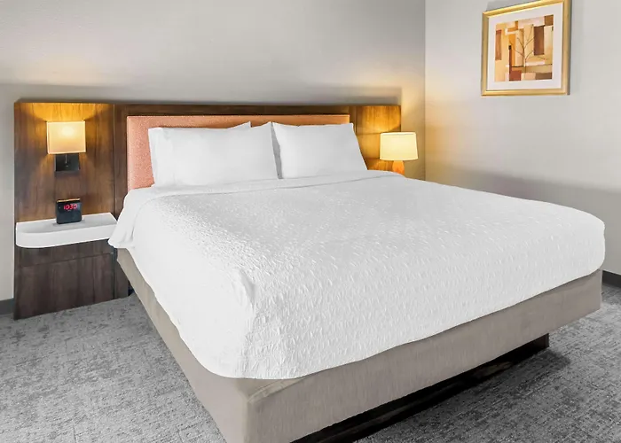 Hampton Inn & Suites Abilene I-20