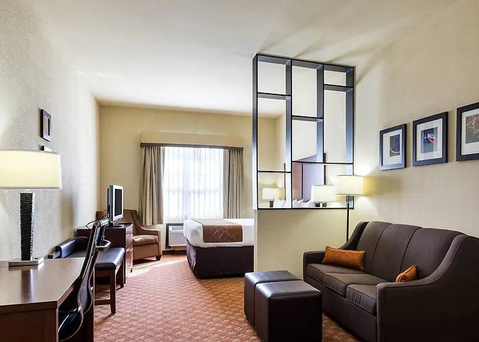 Comfort Suites Near Nasa - Clear Lake
