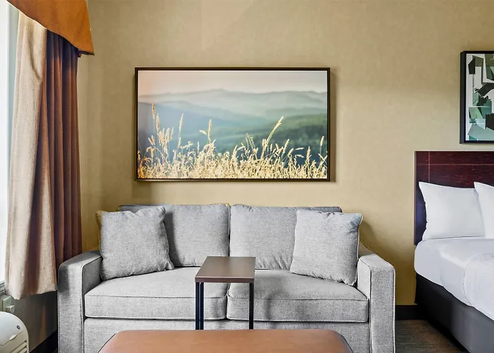 Ramada By Wyndham Drumheller Hotel & Suites